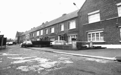 anato3.jpg (9448 octets)