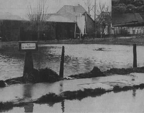 billem6.jpg (17551 octets)