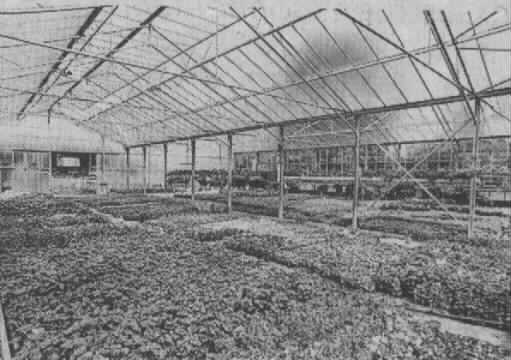 boulois4.jpg (25675 octets)