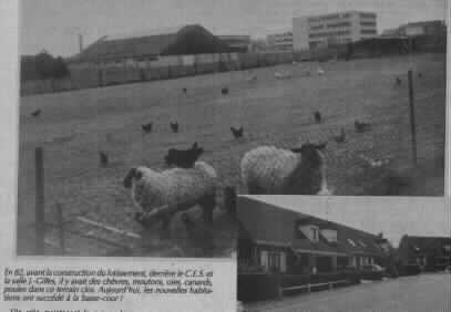 briquet1.jpg (8416 octets)