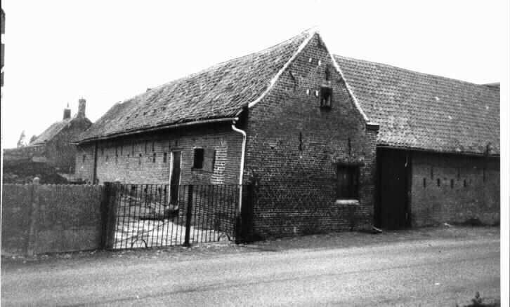 cit73.jpg (19215 octets)