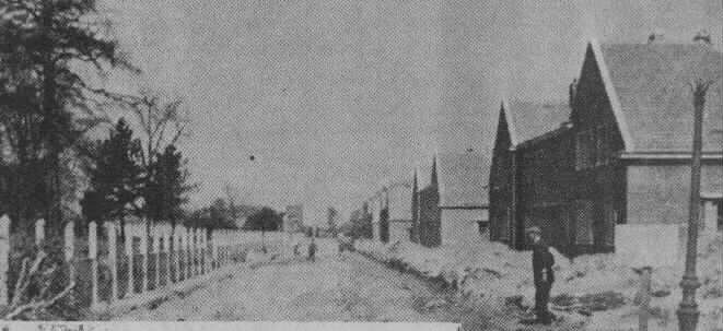 loeul1.jpg (27943 octets)