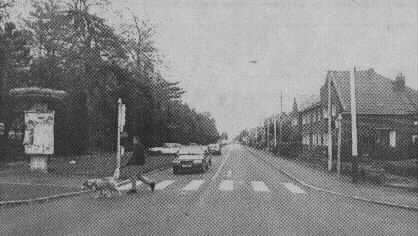 loeul2.jpg (13705 octets)